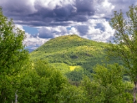 Parc national de la Gaspésie